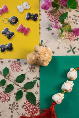 Mua Xương Cho Chó Con Gặm